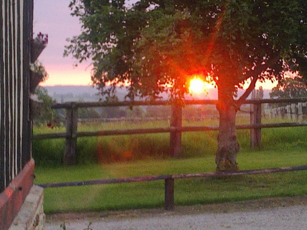 La Baronnie Bed and Breakfast Vieux-Pont Eksteriør billede